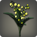 Muguet jaune