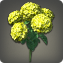 Bouquet d'hortensias jaunes