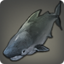 Requin de roseau