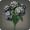 Bouquet d'hortensias noirs
