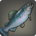 Poisson cherche-pluie