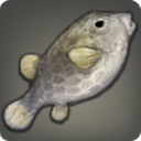 Poisson-coffre noir