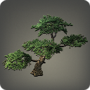 Pin oriental
