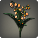 Muguet orange