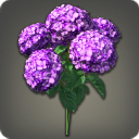 Bouquet d'hortensias violets