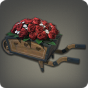 Brouette de roses