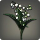 Muguet blanc
