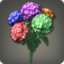 Bouquet d'hortensias multicolores