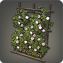 Jardinière de belles-de-jour