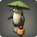 Andon loutre choute