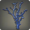 Corail bleu sastashien