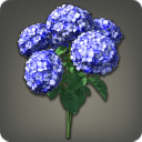 Bouquet d'hortensias bleus