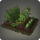 Potager de botaniste