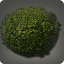 Arbuste rond
