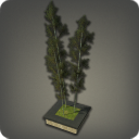 Pot de bambous