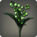 Muguet vert