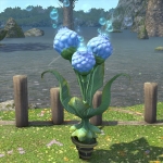 ムーングラスガーデン