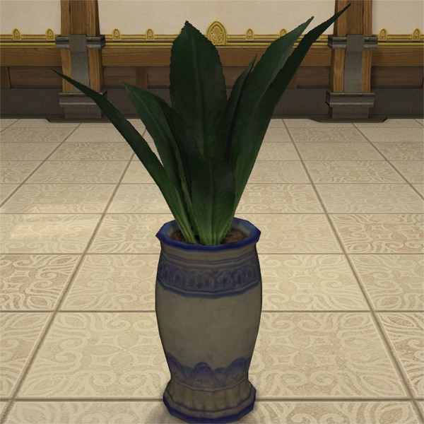 Pot de maguey