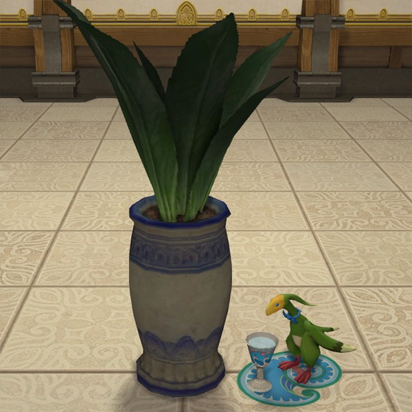 Pot de maguey