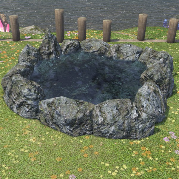 Bassin de jardin
