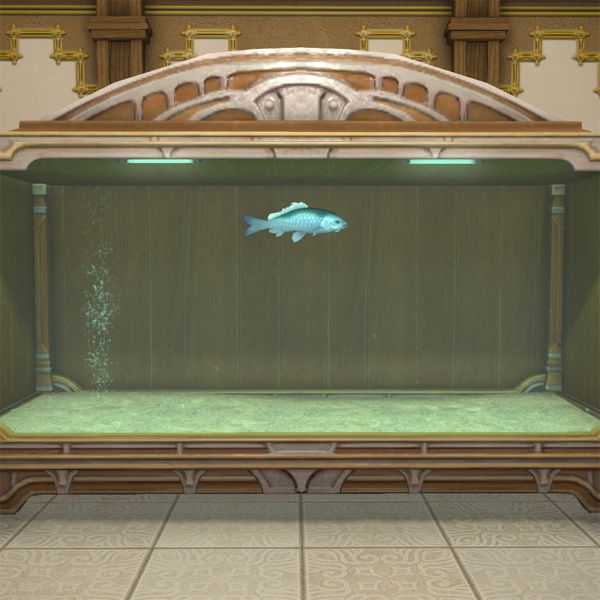 Poisson-prisme bleu