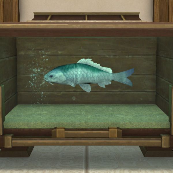 Poisson-prisme bleu