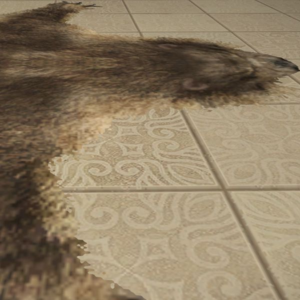 Tapis en peau d'ours