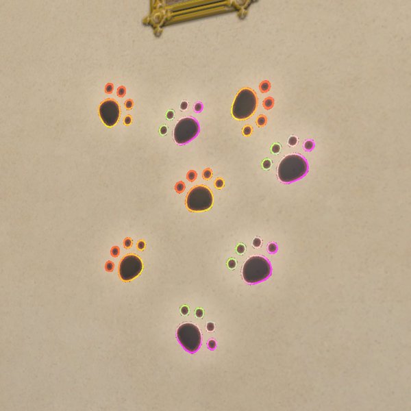 Empreintes de pattes de chat