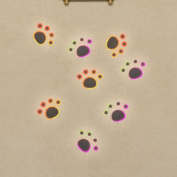 Empreintes de pattes de chat