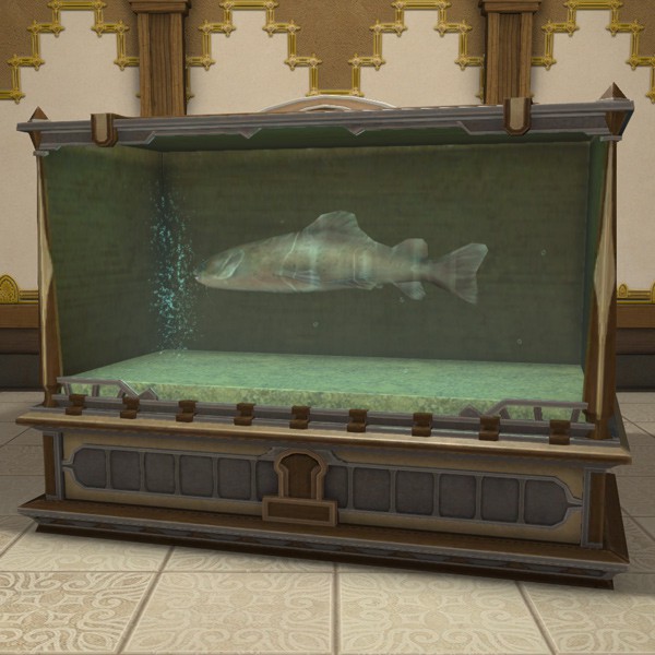 Aquarium de grande taille