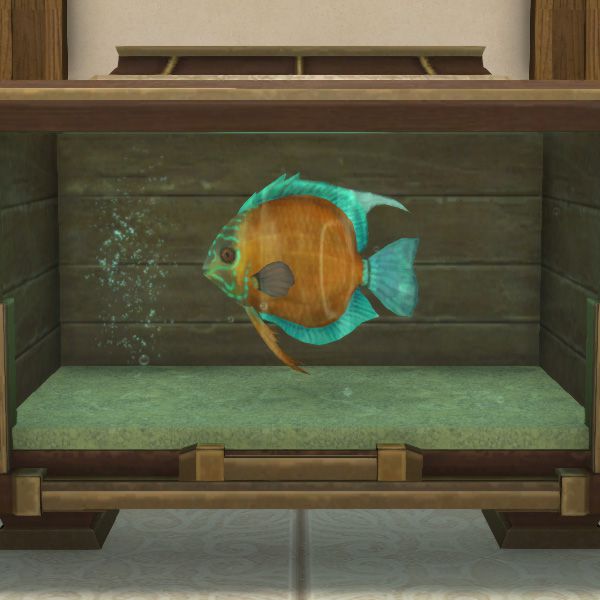 Discus de Paglth'an