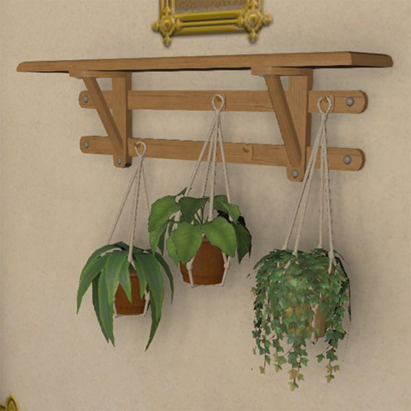 Guirlande de plantes suspendues