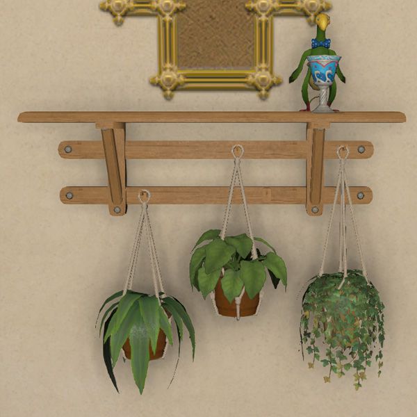 Guirlande de plantes suspendues