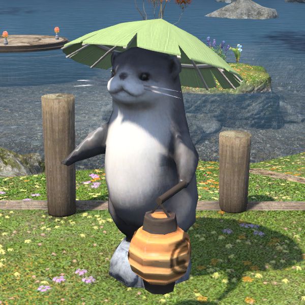 Andon loutre choute