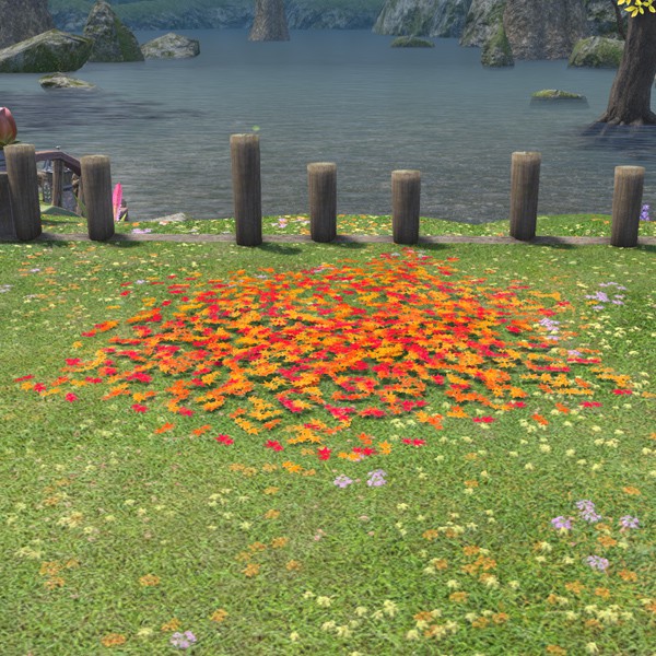 Parterre de feuilles d'érable