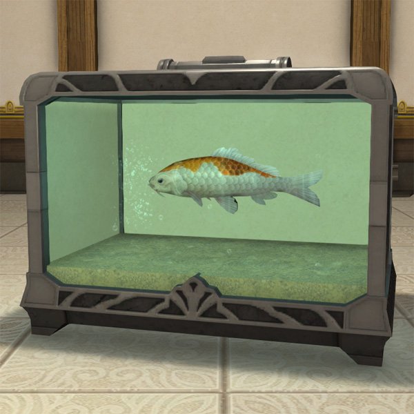 Aquarium en métal de taille moyenne