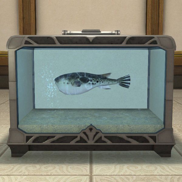 Aquarium en métal de taille moyenne