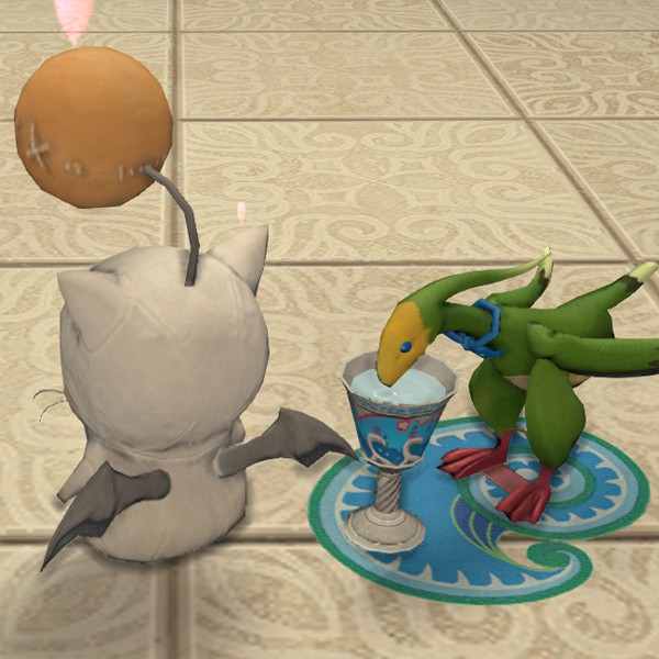 Mog en peluche