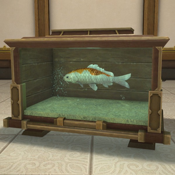 Aquarium de taille moyenne