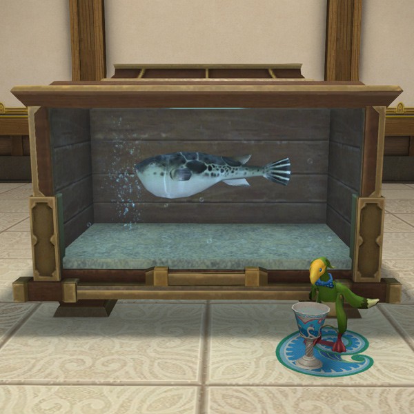 Aquarium de taille moyenne