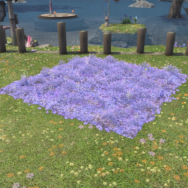 Parterre de fleurs de Grand-Lac