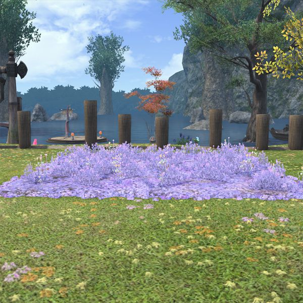 Parterre de fleurs de Grand-Lac