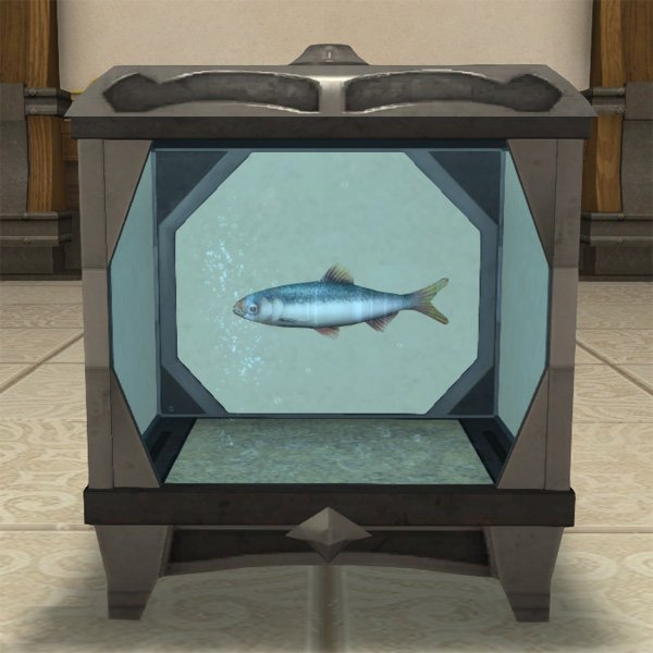 Aquarium en métal de petite taille
